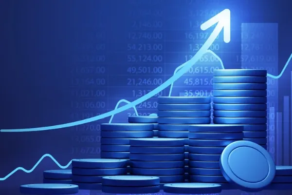 Capital Importation